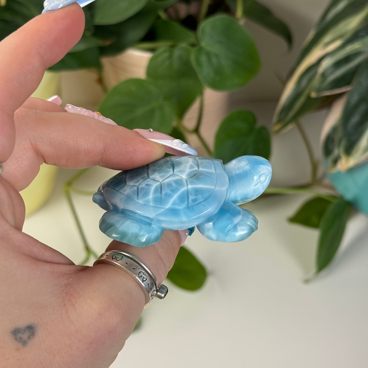 Large Larimar Turtle - G