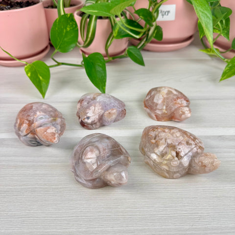 Imperfect Flower Agate Turtle - Crystal Carving