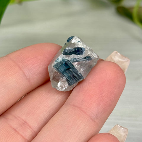 Indicolite Tourmaline Specimen
