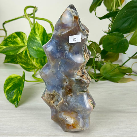 Sea Jasper Flame