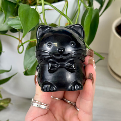 Obsidian Cat With a Secret