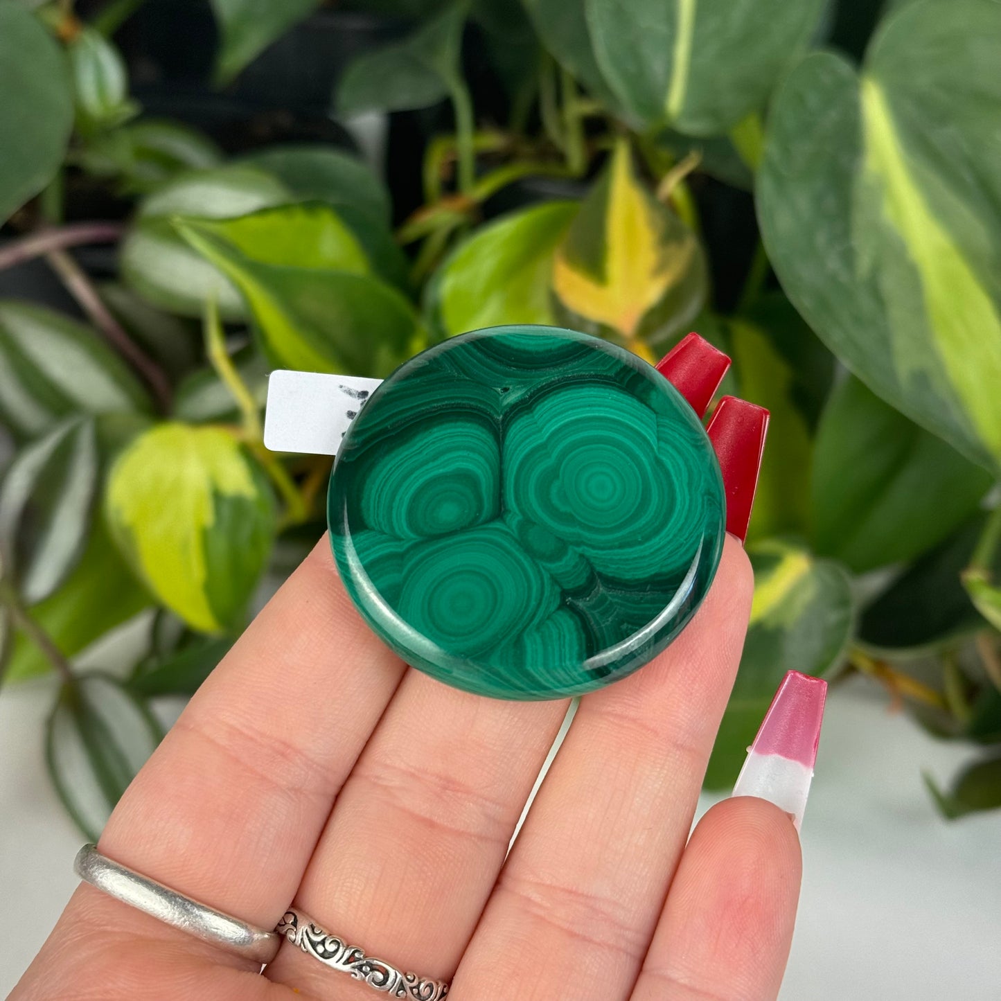 Mini Malachite Cookie