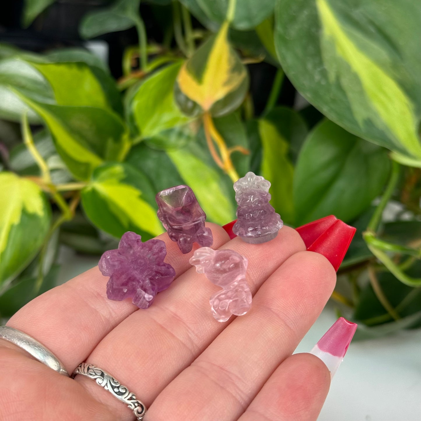 Mini Fluorite Holiday Set