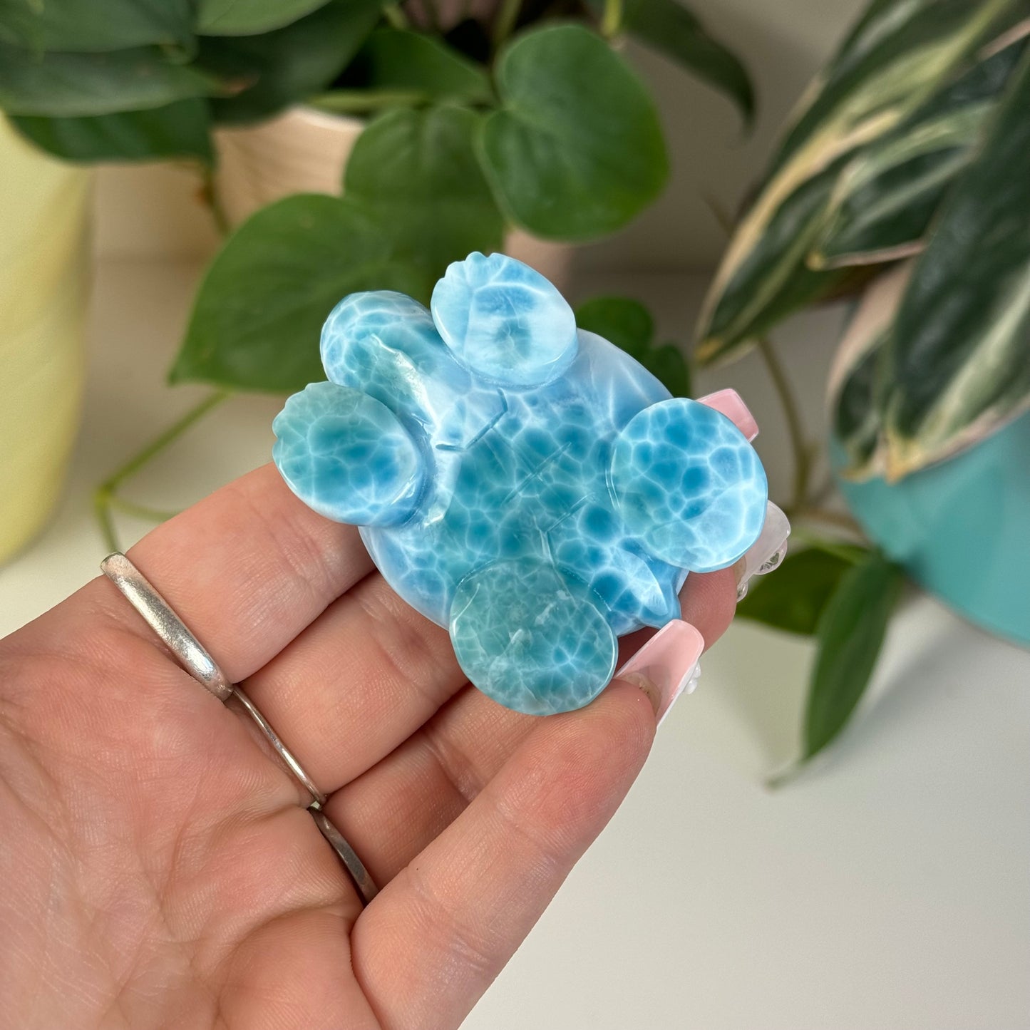 Large Larimar Turtle - G