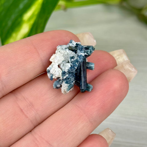 Indicolite Tourmaline Specimen