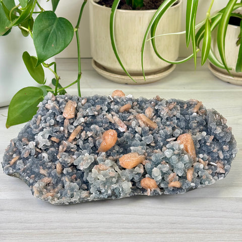 Pumpkin Stilbite On Chalcedony