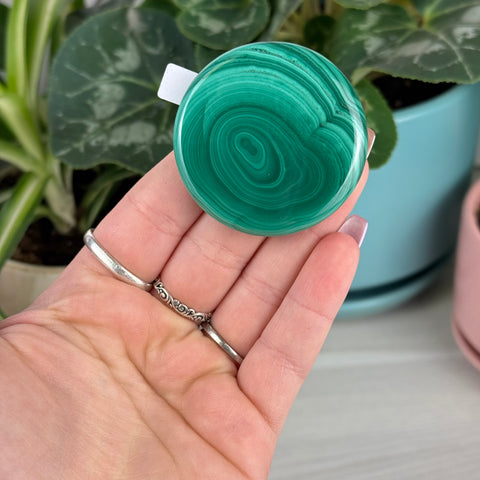 Malachite Cookie - K1