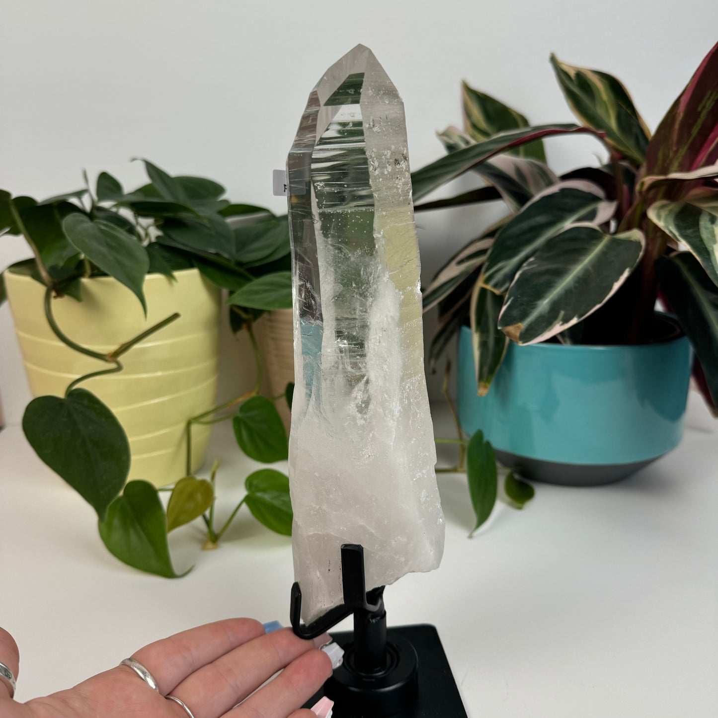 Incredible Lemurian Quartz (W/ Custom Stand) - G