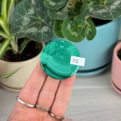 Malachite Cookie - J2