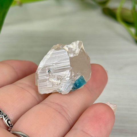 Indicolite Tourmaline Specimen