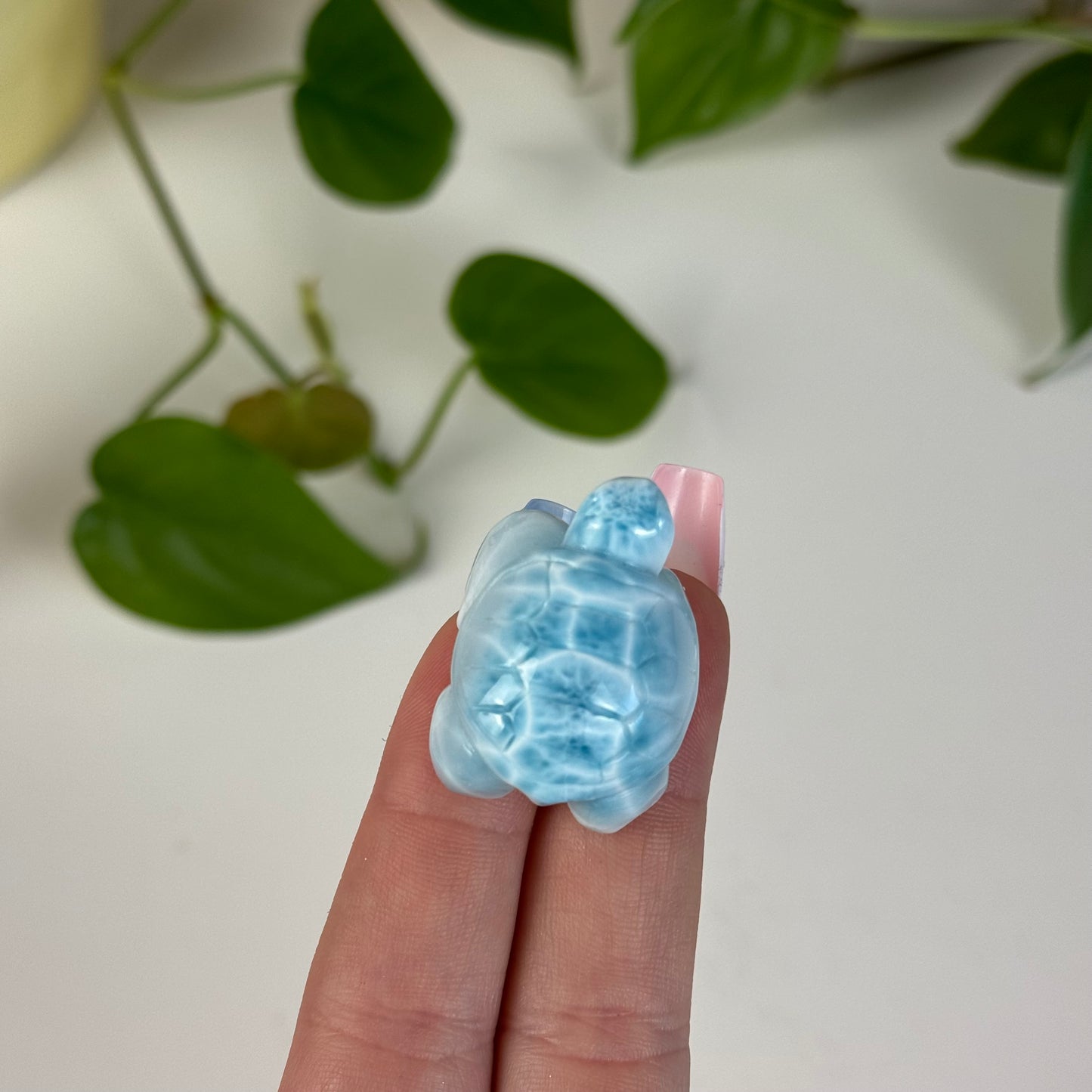 Small Larimar Turtle