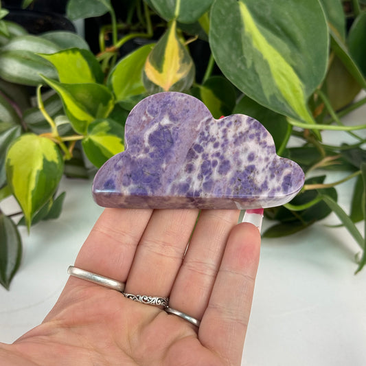 Purple Jade Cloud