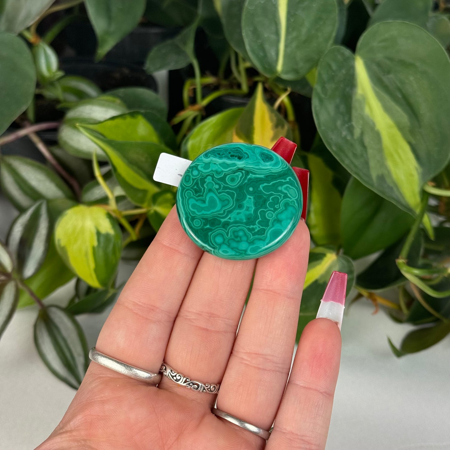 Mini Malachite Cookie