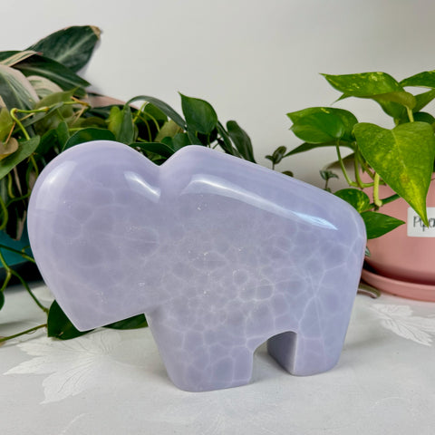 Lavender Fluorite Bison