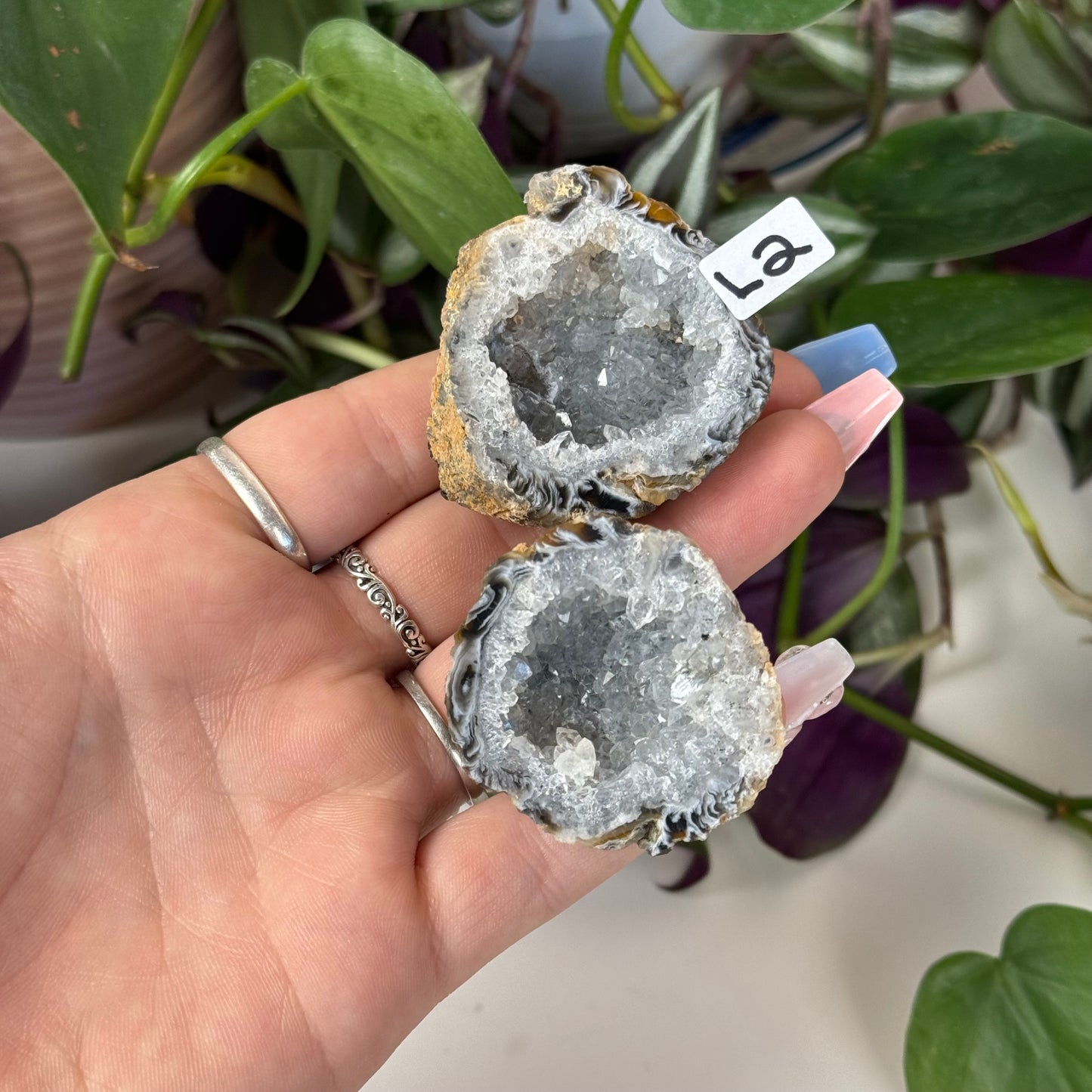 Druzy Agate Geode Pair