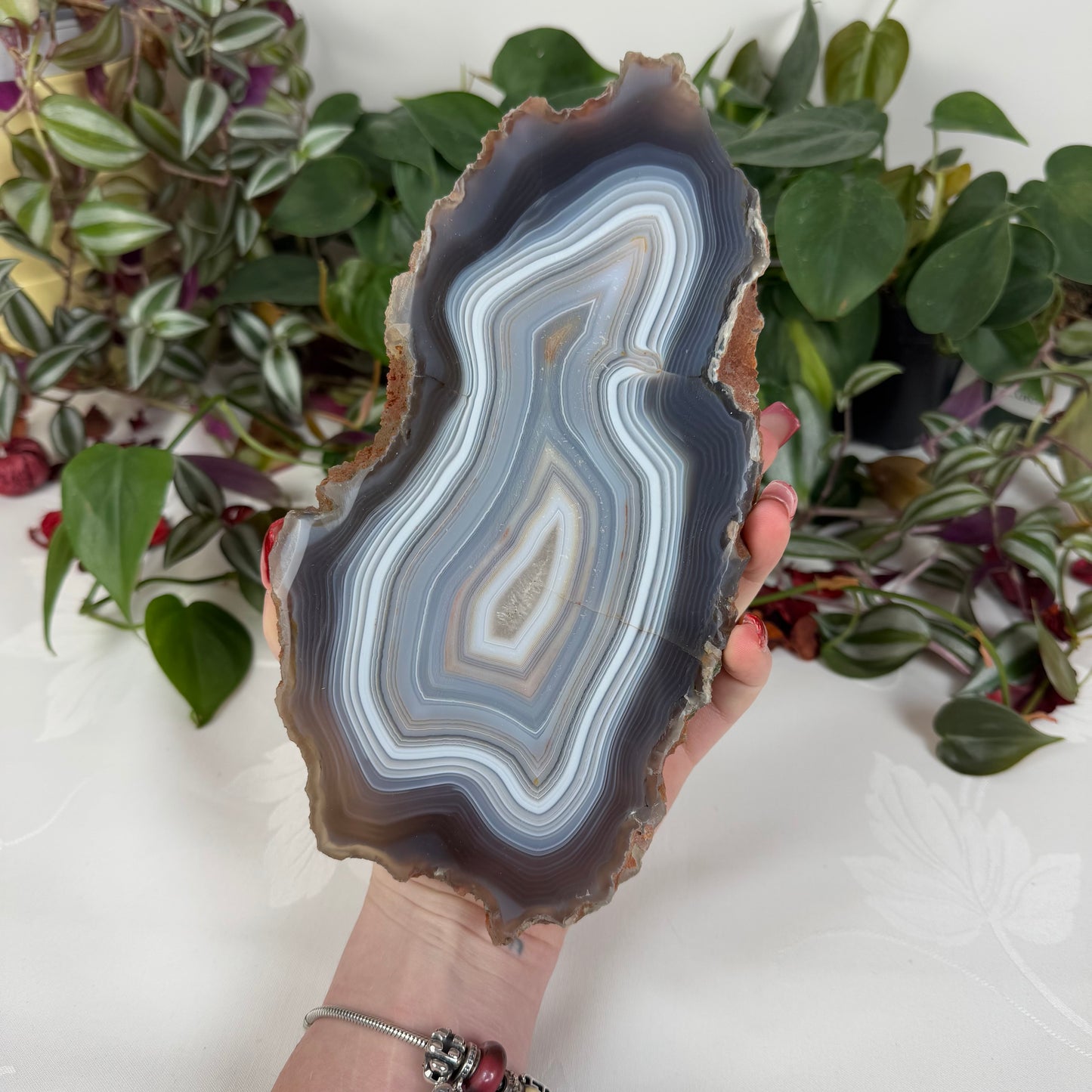 Intuitively Picked Agate Slab