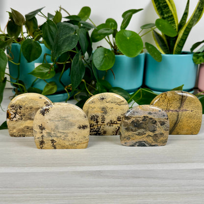 Painting Stone Free Form