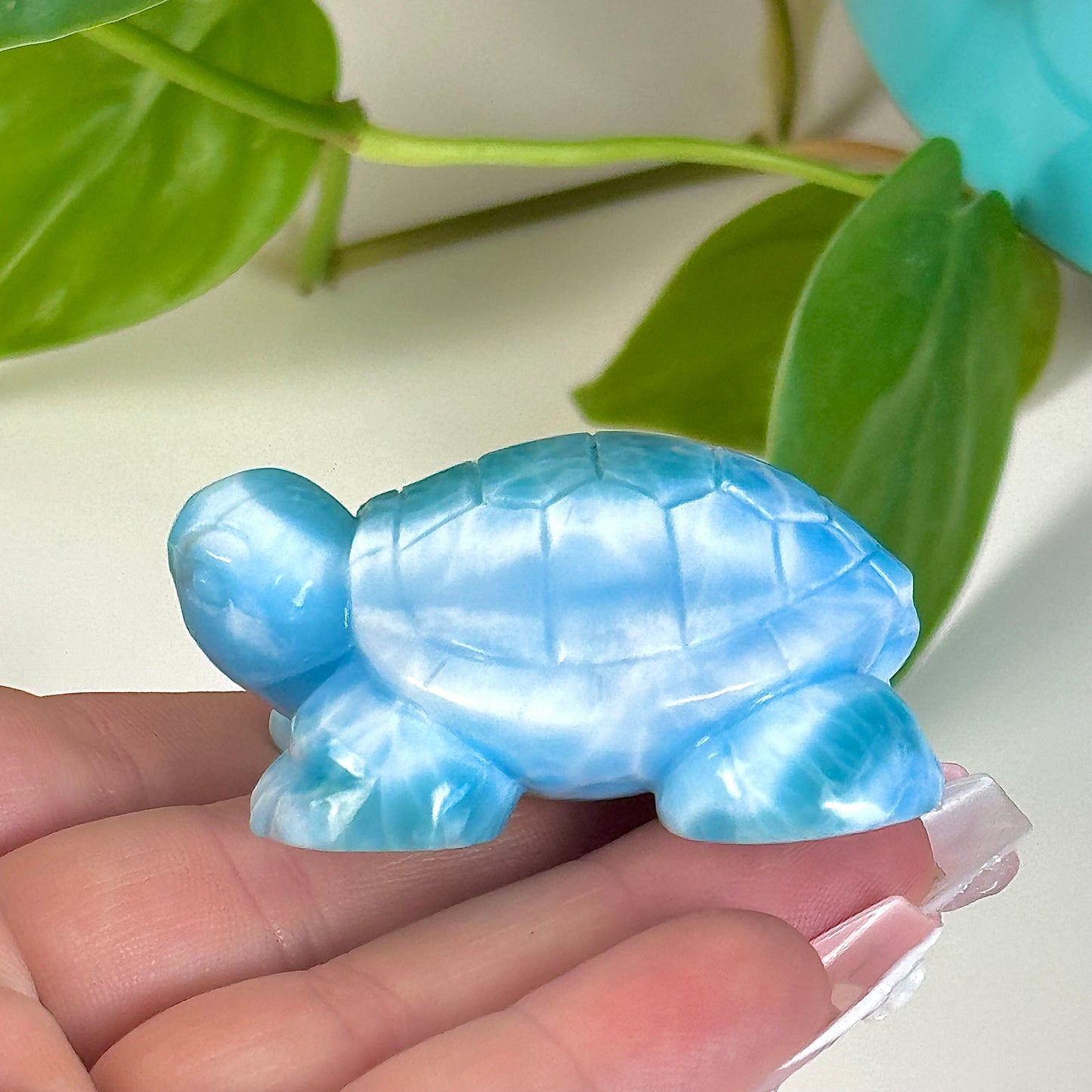 Large Larimar Turtle - B