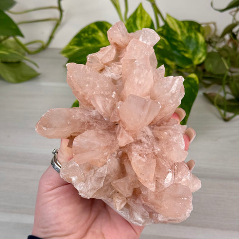 Swallowtail Calcite