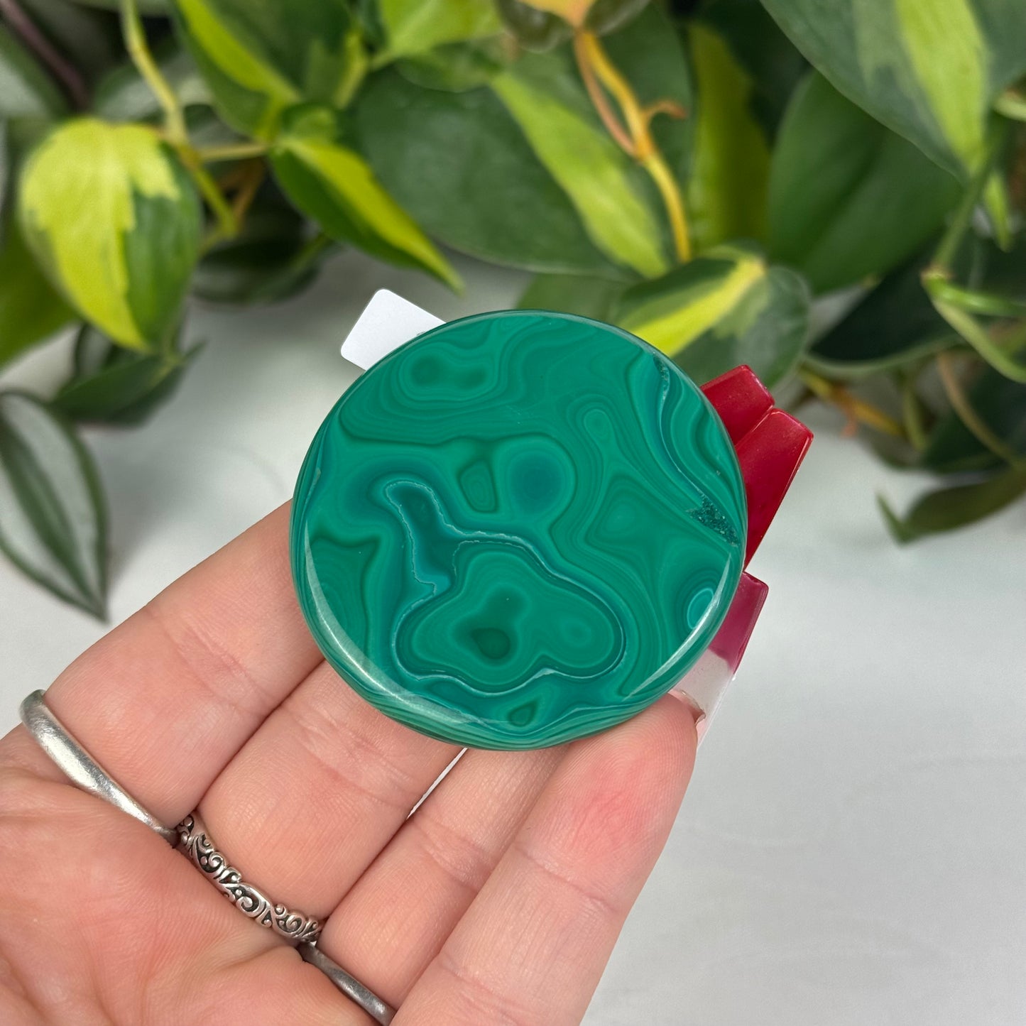 Mini Malachite Cookie