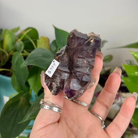 Enhydro Shangaan Amethyst