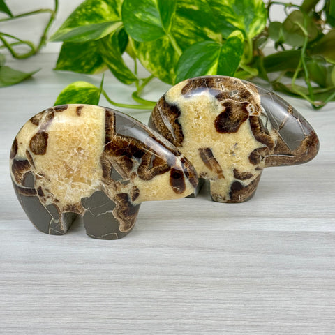 Septarian Bear Fetish