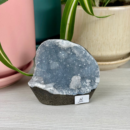 Perse Zeolite Specimen