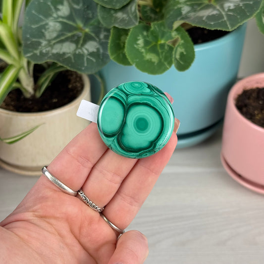 Malachite Cookie - G2