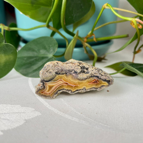 Laguna Agate