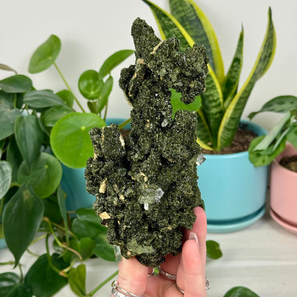 Forest Quartz