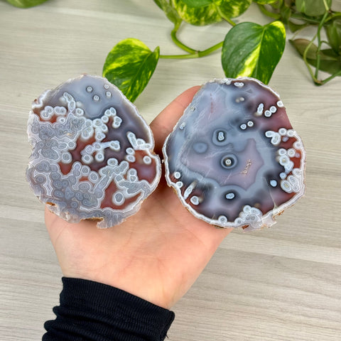 Swazi Rose Agate Slice