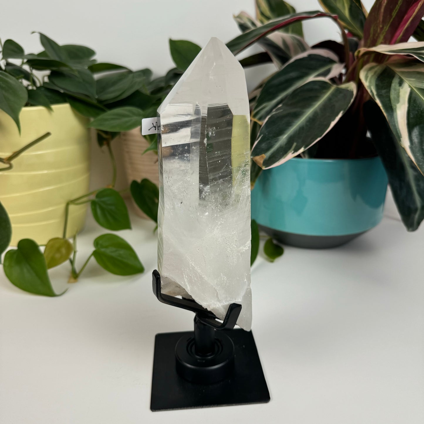 Incredible Lemurian Quartz (W/ Custom Stand) - K