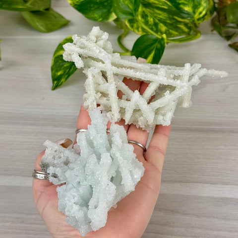 Frozen Key Lime Prehnite Specimen