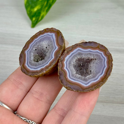 Candy Agate Pairs