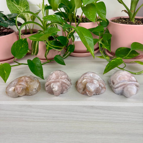 Imperfect Flower Agate Turtle - Crystal Carving