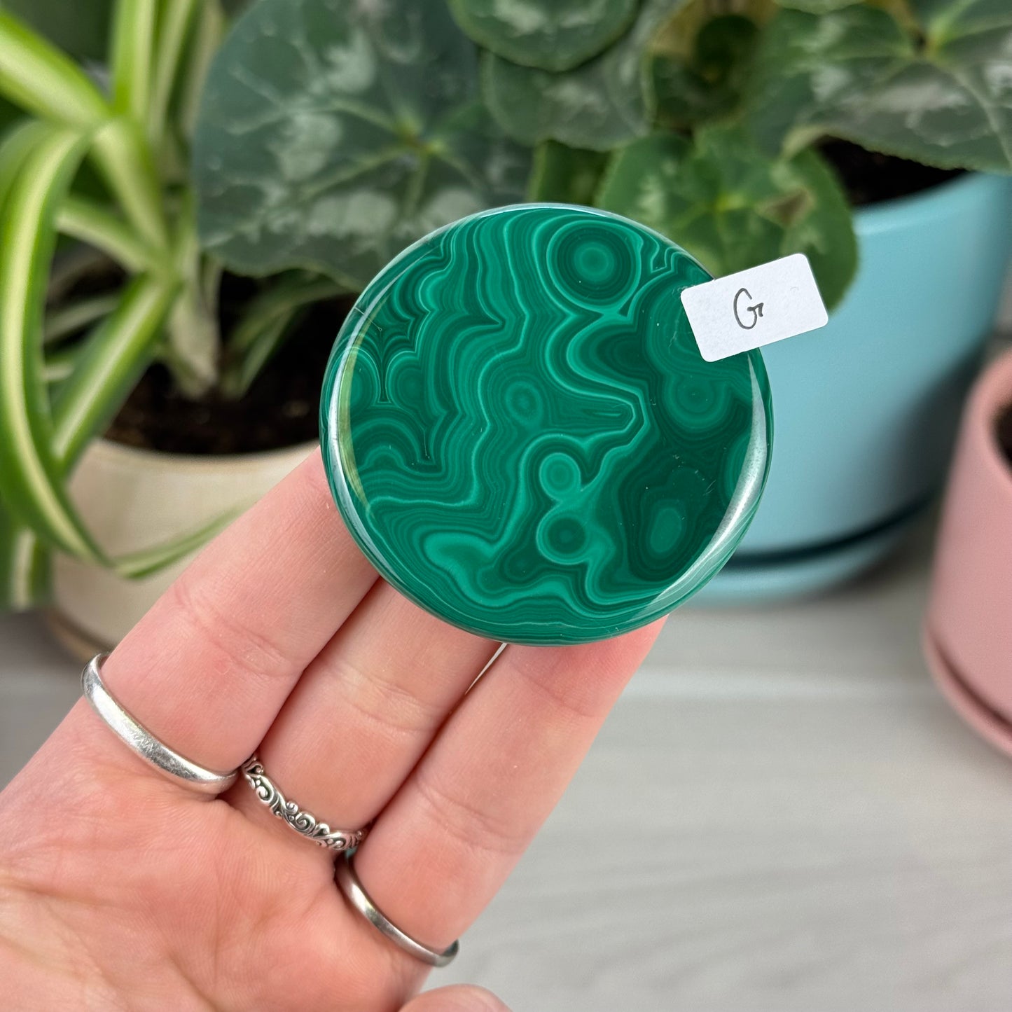 Malachite Cookie - G1