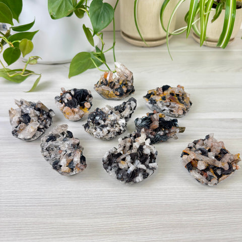 Hematite Roses With Harlequin Quartz Specimen