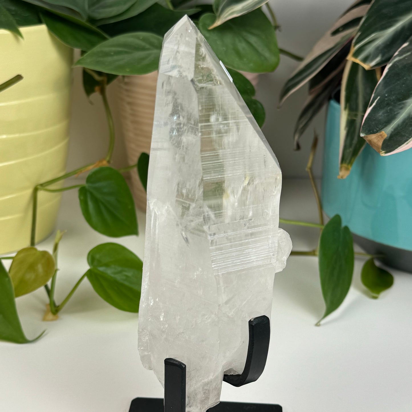 Incredible Lemurian Quartz (W/ Custom Stand) - M