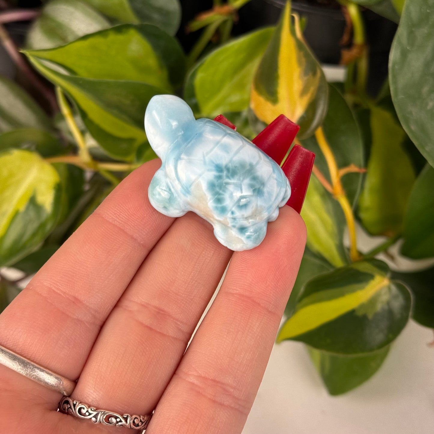 Mini Larimar Turtle