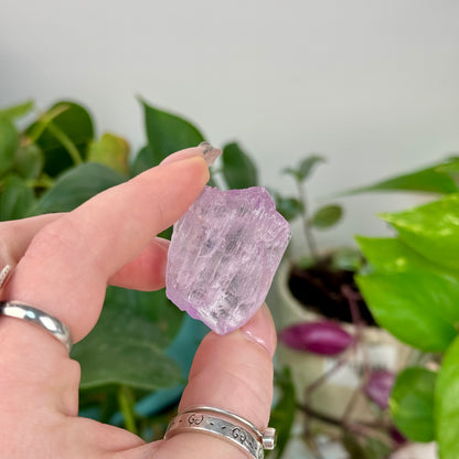 Mawi Pegmatite Kunzite Specimen