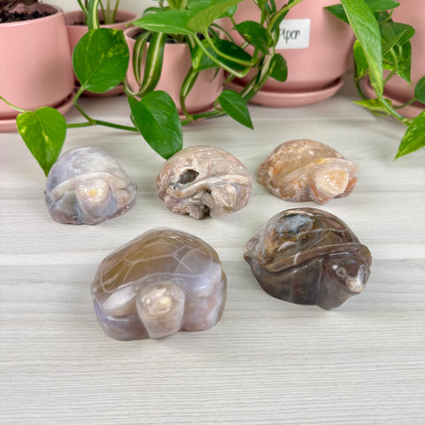 Imperfect Flower Agate Turtle - Crystal Carving