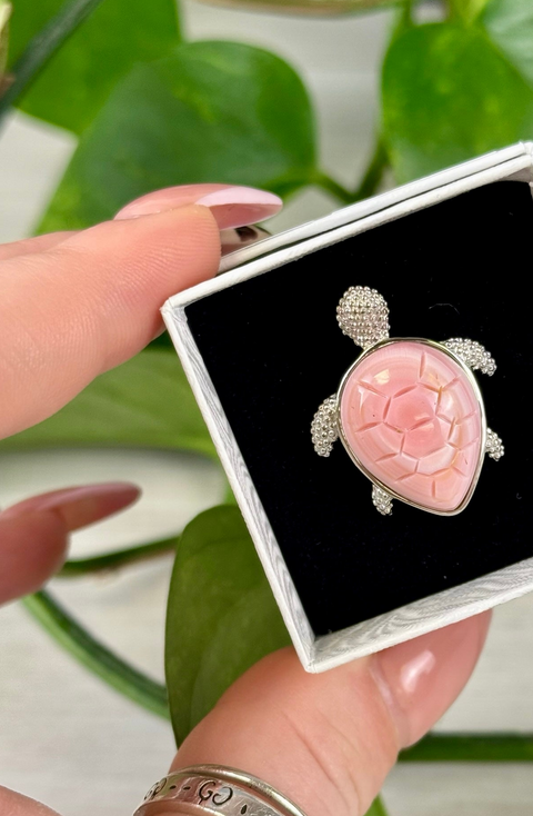 Pink turtle-shaped brooch in a jewelry box held by a hand with green leaves in the background