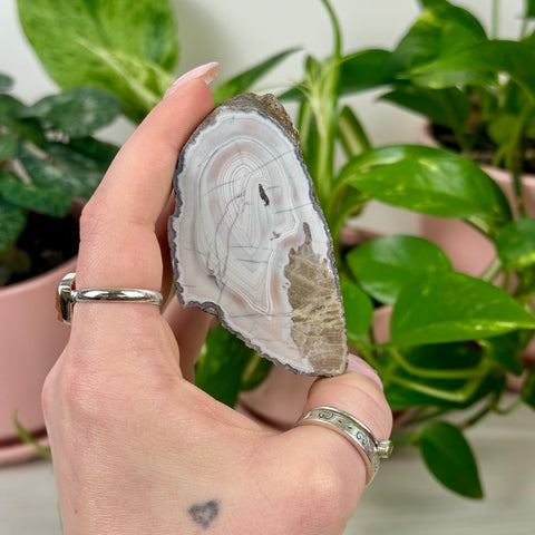 Indi Czechia Agate
