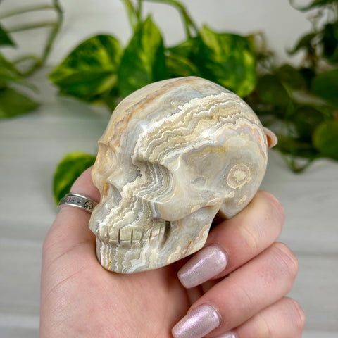 Crazy Lace Agate Skull