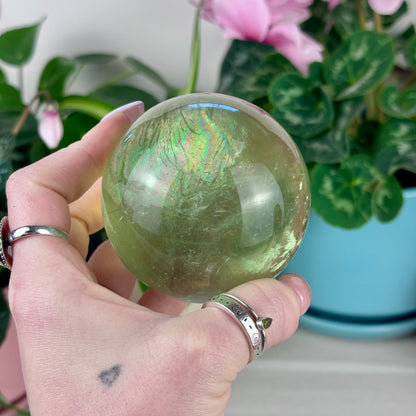 Green Grape Fluorite Sphere