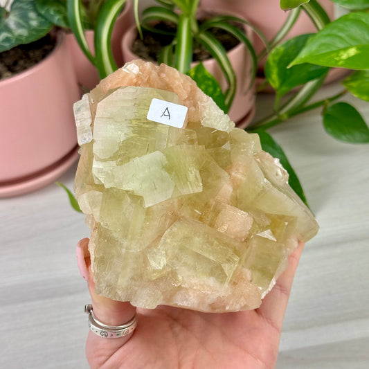 Green Apple Apophyllite With Stilbite