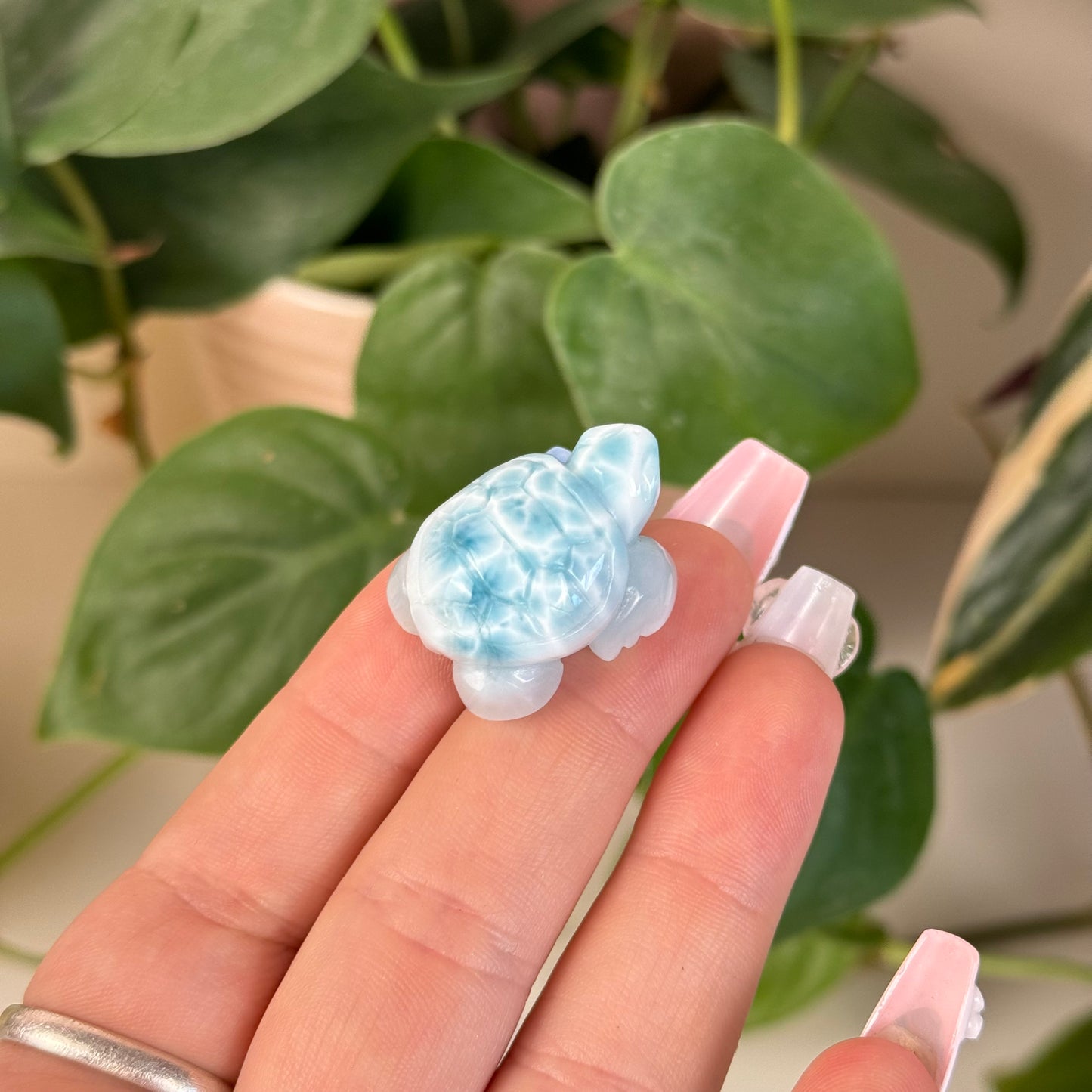 Small Larimar Turtle