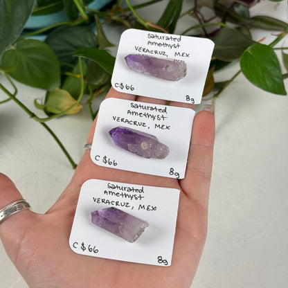 Saturated Veracruz Amethyst