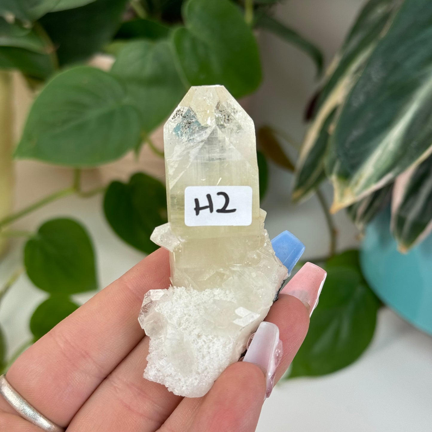 Perfectly Terminated Apophyllite Specimen