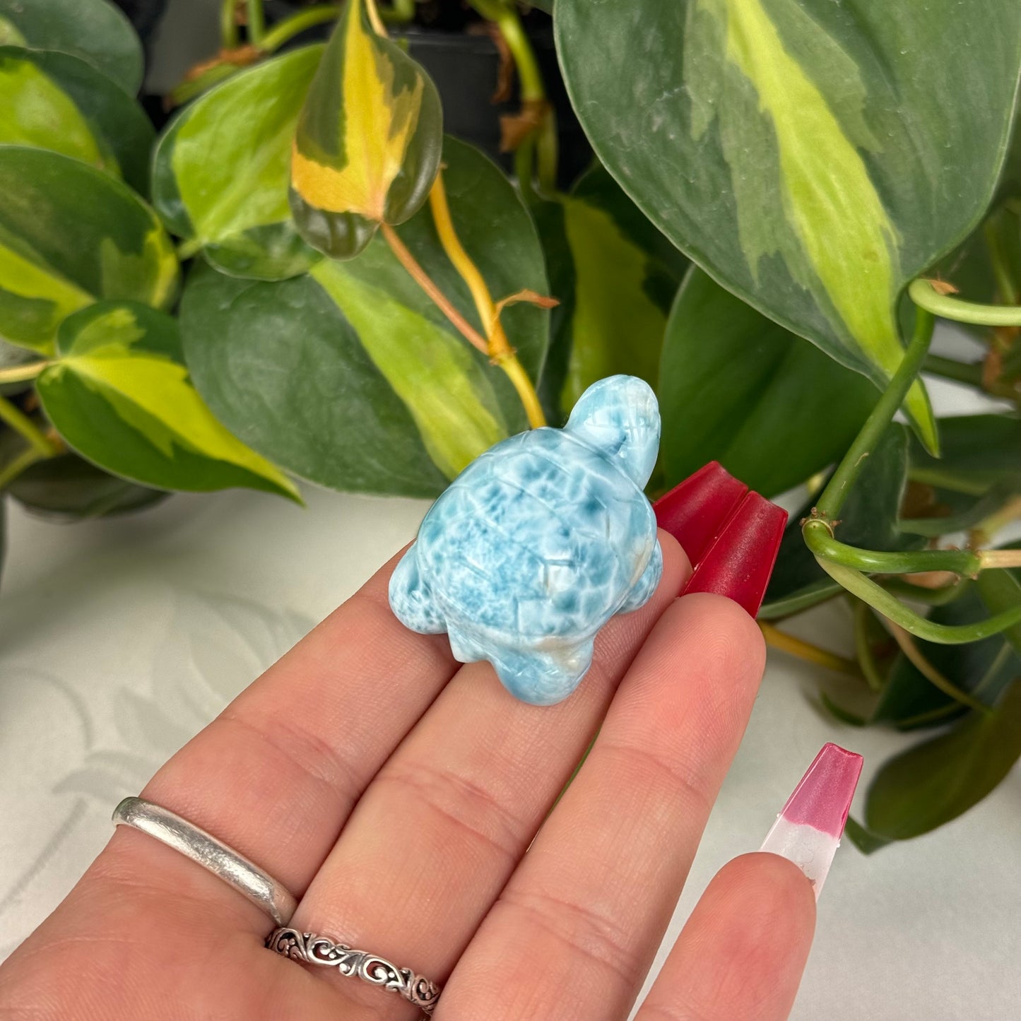 Mini Larimar Turtle